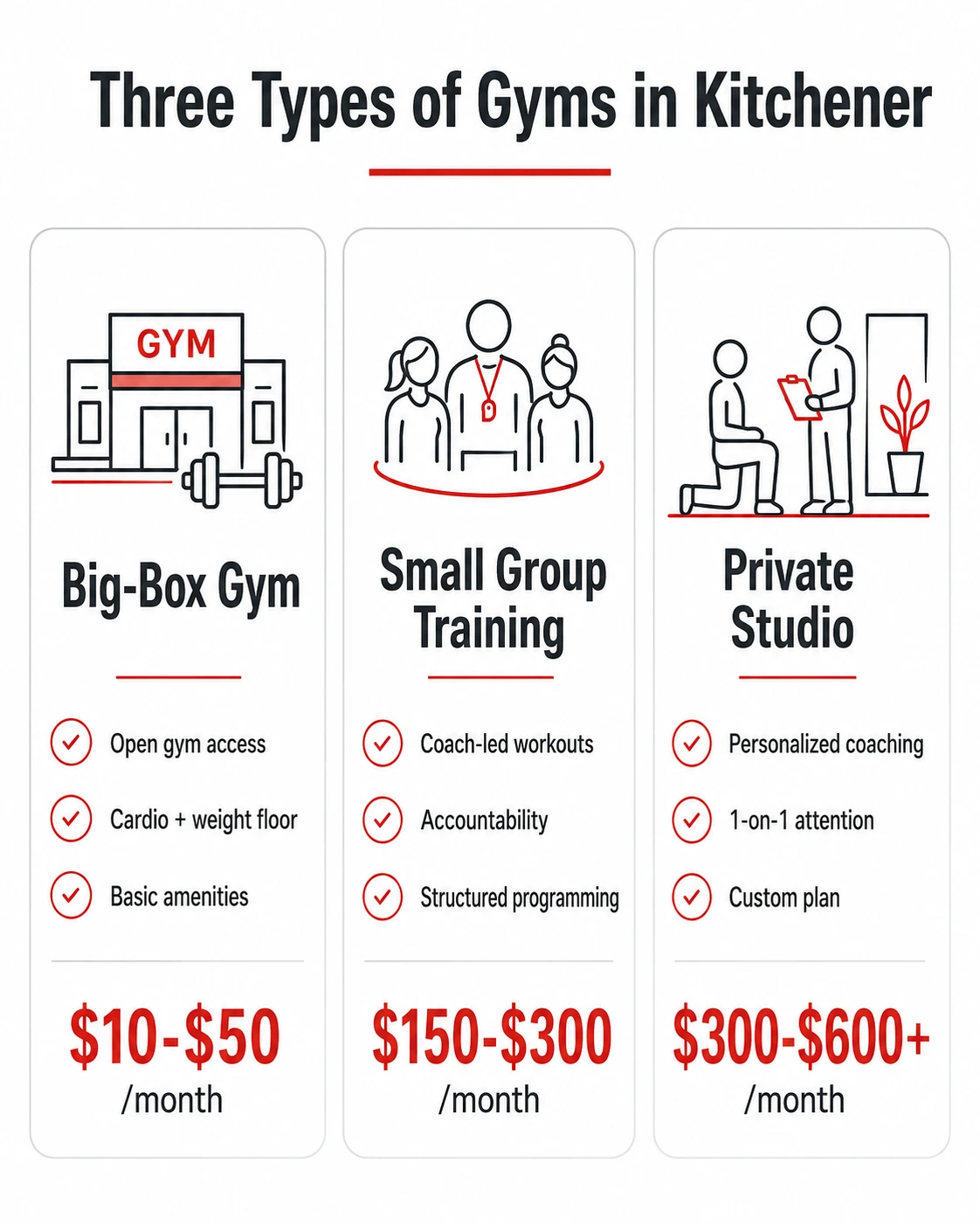 Comparison of big-box, small group, and private gym types in Kitchener